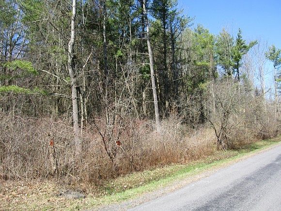 2nd image of 295 Culver Rd