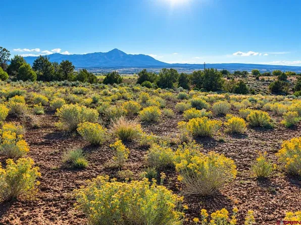 13551 Road 32.75, Mancos, CO 81328