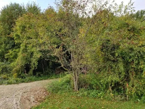 8901 Wingeier Ave SE, Alto, MI 49302