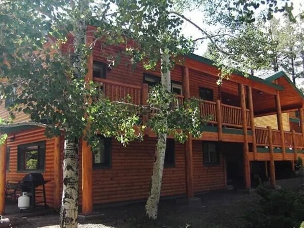 24-1120 Unit 3 Cabins #81 & 80, Greer, AZ 85927