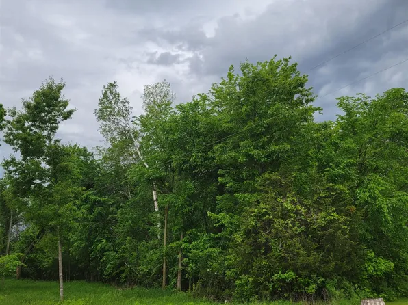 Spring Lake Estate Dr, Neshkoro, WI 54960