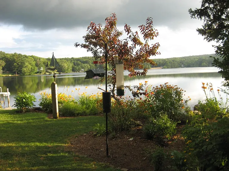 Lake view from house