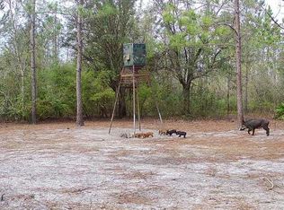 0 Cat Rd, Lee, FL 32059