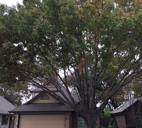 2nd image of 2325 Lacewood Dr