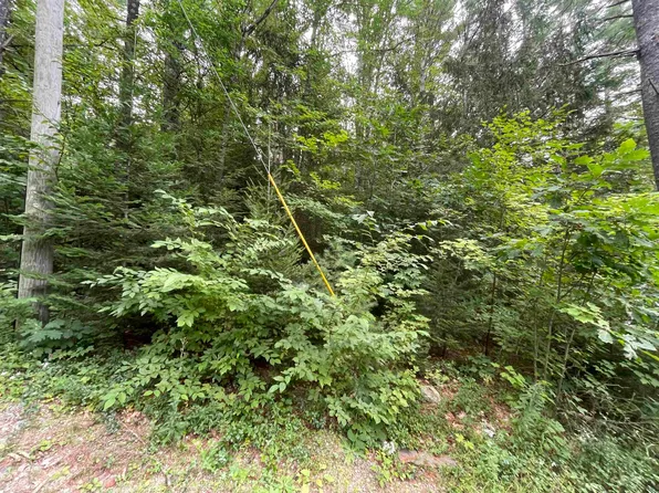 Sweeney Road, Washington, NH 03244