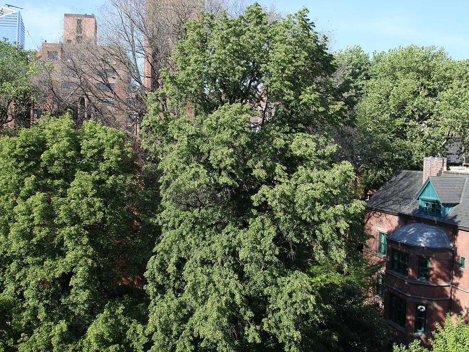 1st image of 422 W 20th St APT 5B