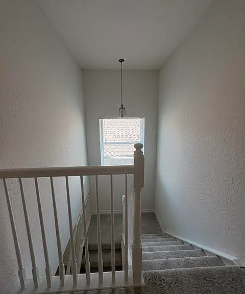 8187 Half Dome Ct — Photo 35