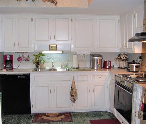 4th image of 4006 Camellia Dr