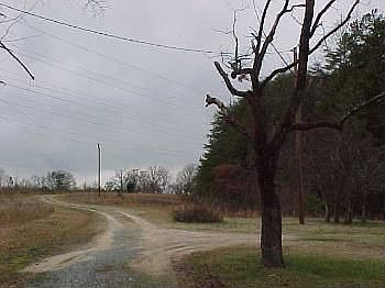 2nd image of 8416 Spotswood Rd
