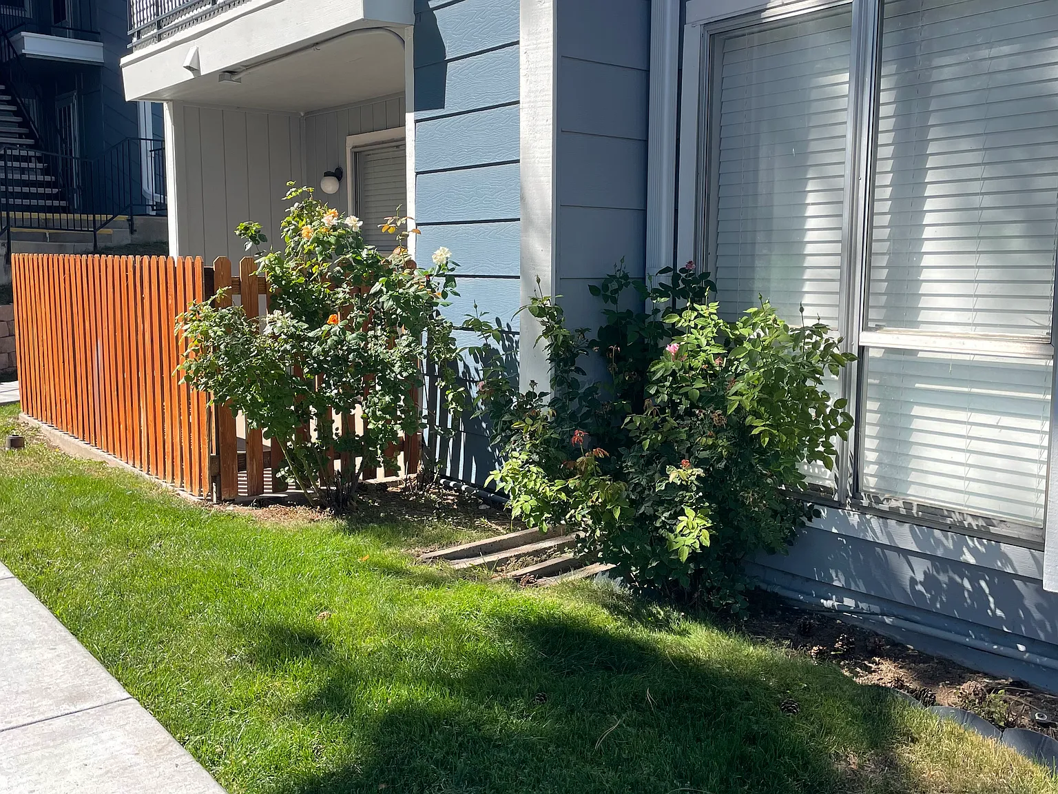 1 bed, 806 sqft, $1,700 — Photo 2