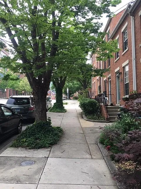 21 N Ann St — Photo 4