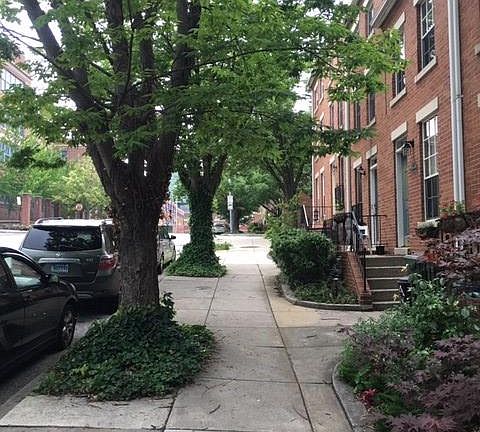 4th image of 21 N Ann St