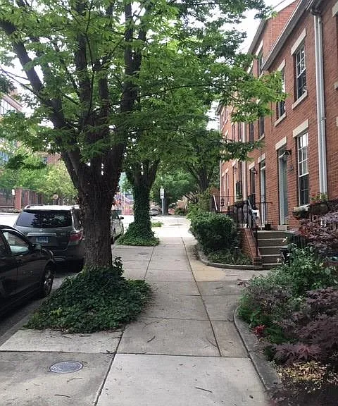 21 N Ann St — Photo 4