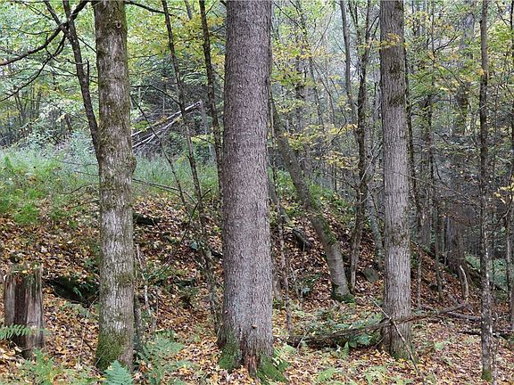 3rd image of Lawrence Rd