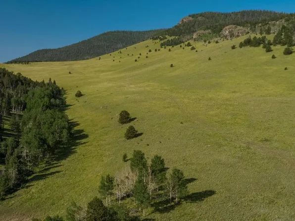 000 County Road 100, Guffey, CO 80820