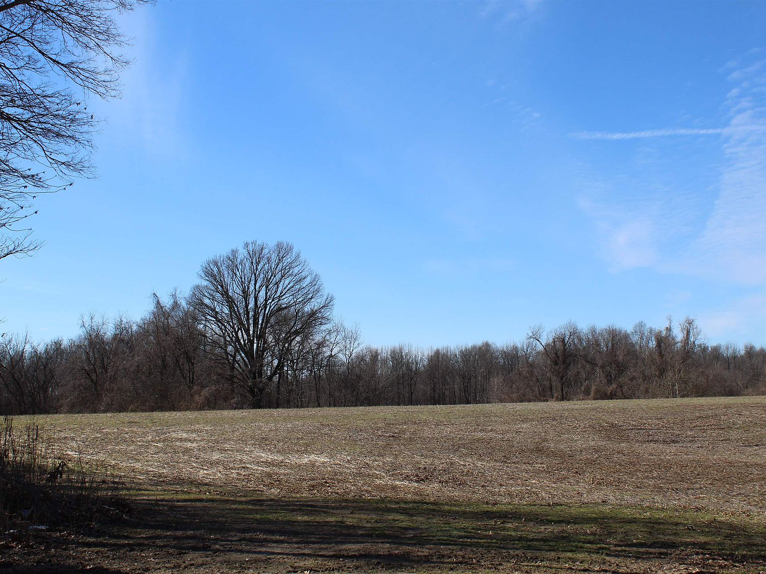 9510 Dolan Rd, Drummonds, TN 38023 Zillow