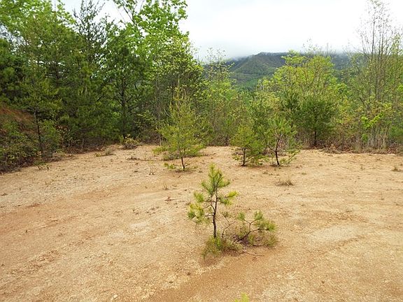 2nd image of 219 Wood Duck Way