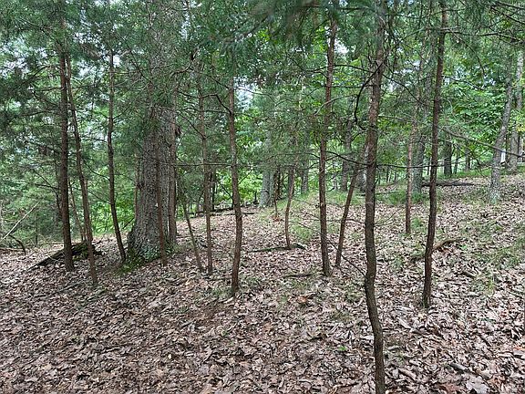 4th image of 607 Lakeview Dr