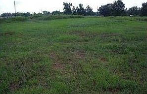 1st image of 5435 13th Ave E
