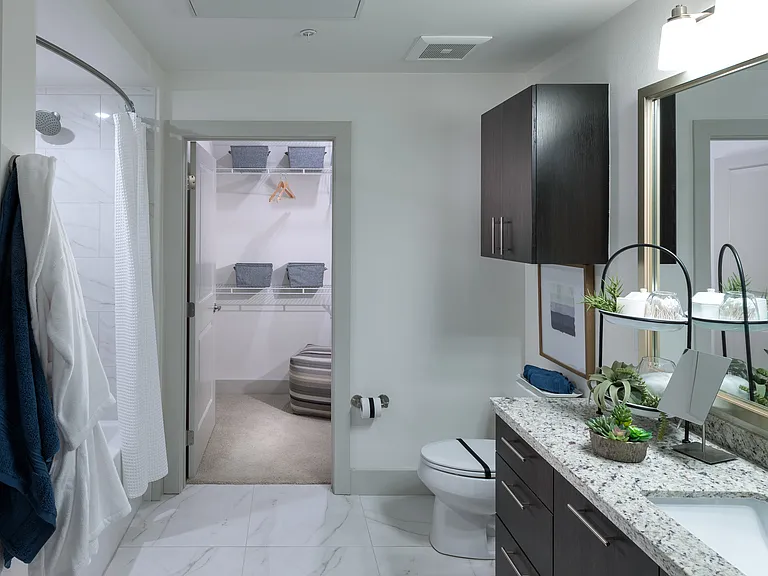 Spa-Inspired Bathrooms