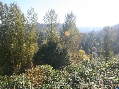 555 Anderson Dr, Silverton, OR, 97381