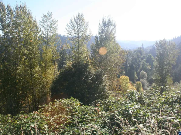 555 Anderson Dr, Silverton, OR 97381