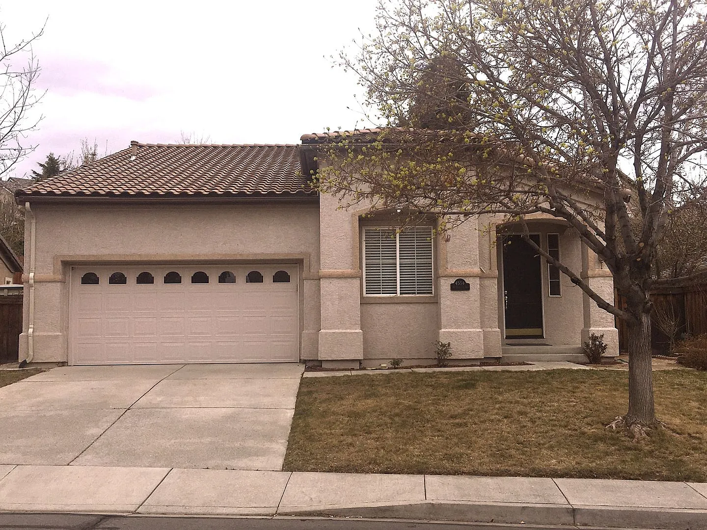 4554 Mount Bachelor Dr photo 1