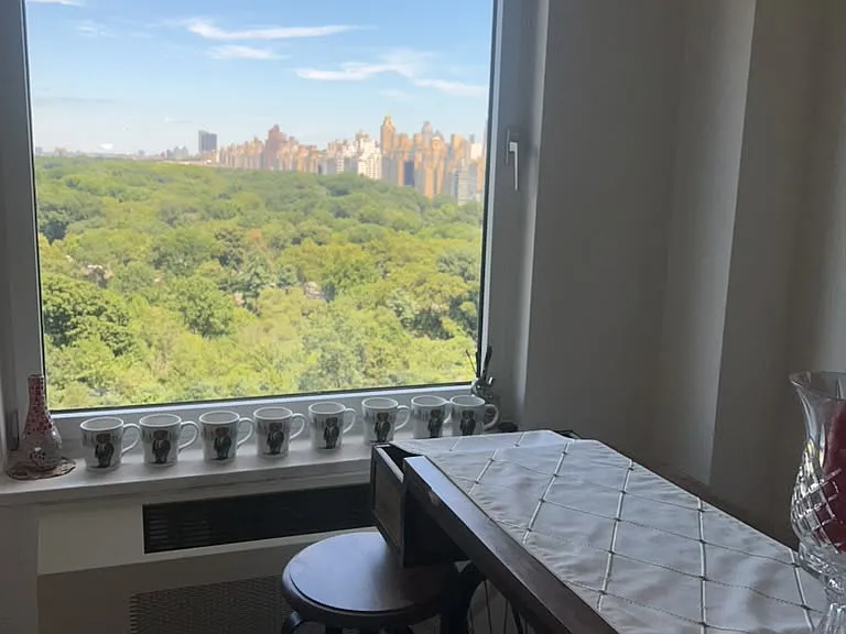 40 Central Park S #19C — Photo 11
