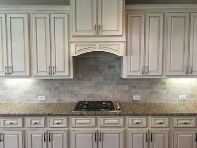 1325 Elkins Hollow Ln, League City, TX, 77573