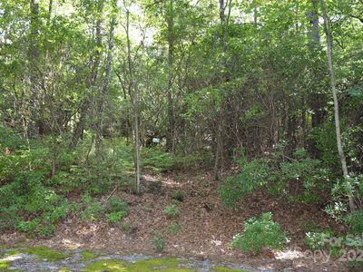 9 Galax Ln, Brevard, NC, 28712
