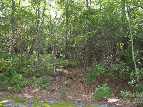 9 Galax Ln, Brevard, NC 28712