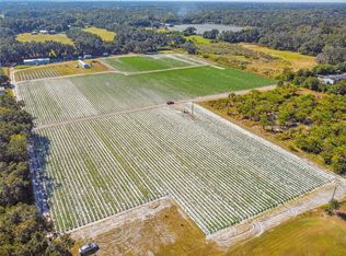 Osprey View Ln LOT 2, Plant City, FL 33566