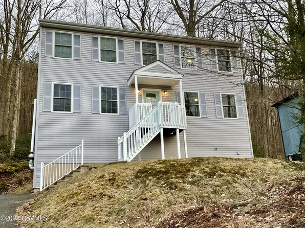 157 Buck Ridge Dr, Drums, PA 18222