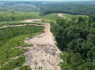 0D Springer Rd, Hohenwald, TN 38462