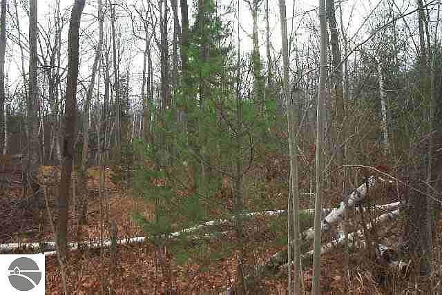 2nd image of 818 S Point Lookout Rd