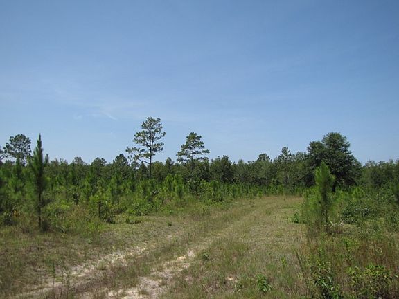 3rd image of Vacant Lower Rebecca Road