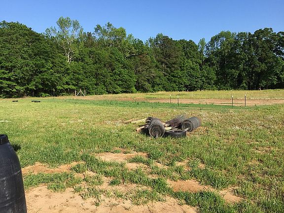 Side yard with garden