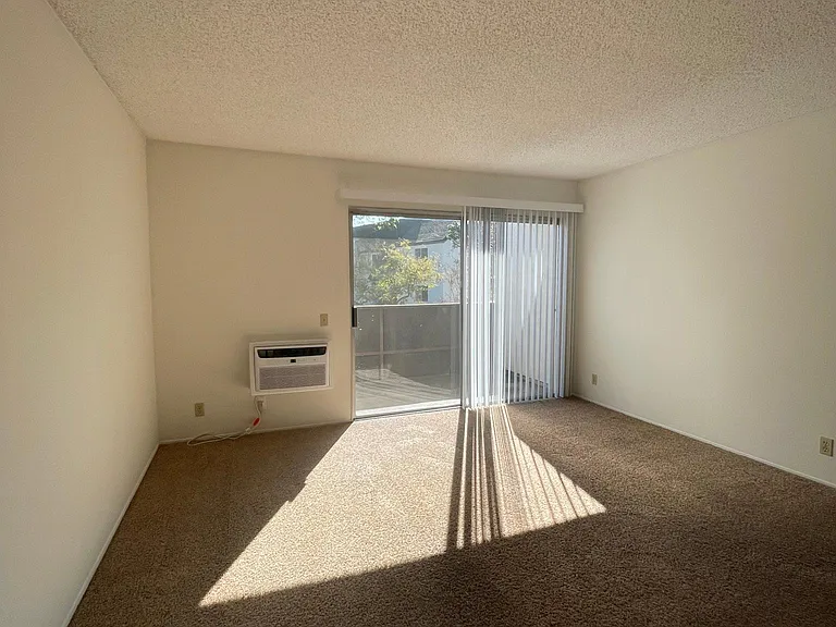 1333 Caminito Gabaldon #C — Photo 10