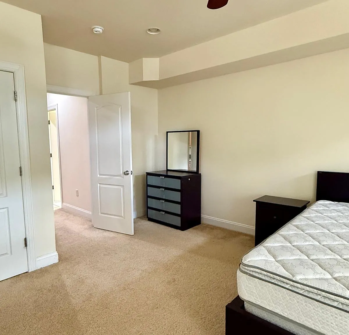 2 bed, 1000 sqft, $1,900 — Photo 2