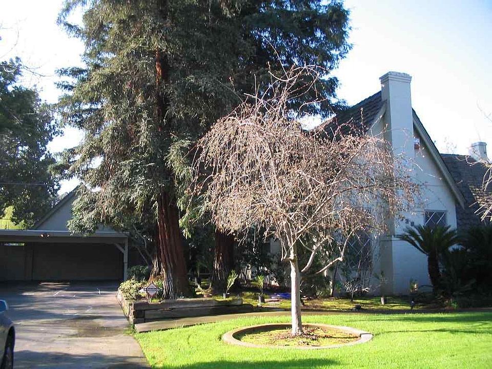 Front Driveway - Tudor