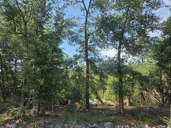 5th image of 266 E Dogwood Ave