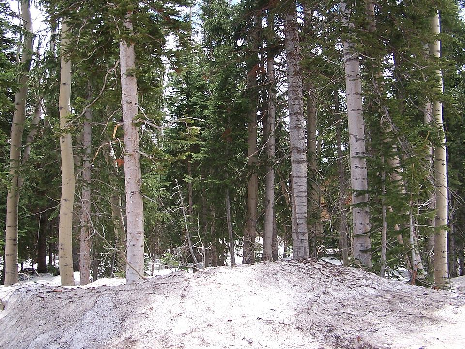 2nd image of 355 N Trails At Navajo