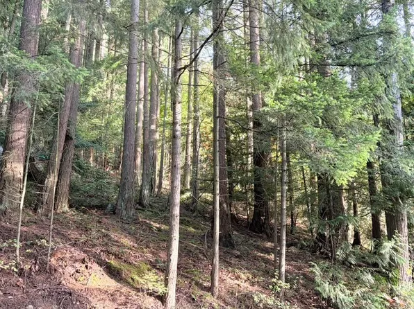 0 xxx Emerald Lake Lot# 122 Way, Bellingham, WA 98226