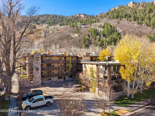131 E Durant Ave #202, Aspen, CO 81611