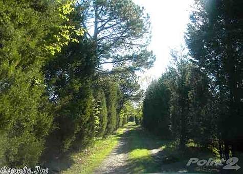 Cedar lined driveway to house & shop in center
