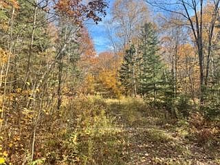 2nd image of 425 Bartlett Lake Rd