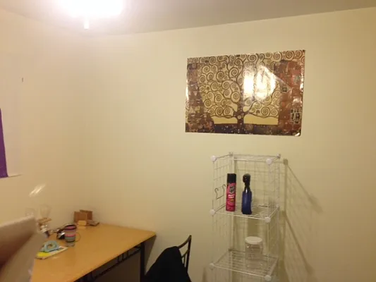 Rented by Citi Habitats | media 23