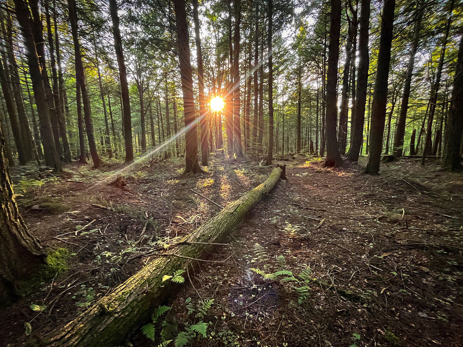 Wp01 Happy Valley Rd, Parish, NY 13131 Zillow