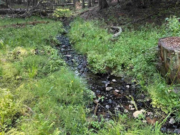 88 Farrens Creek Ln, Grangeville, ID 83530