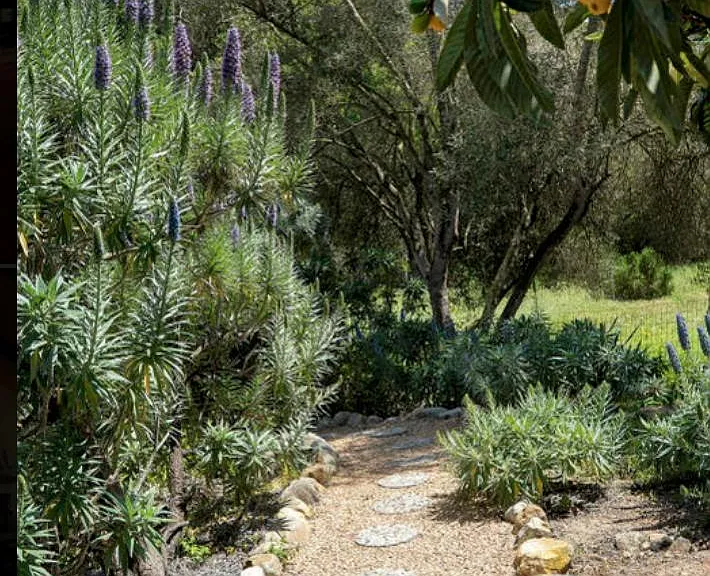 1850 Eucalyptus Hill Rd — Photo 7